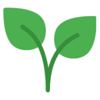 demo image